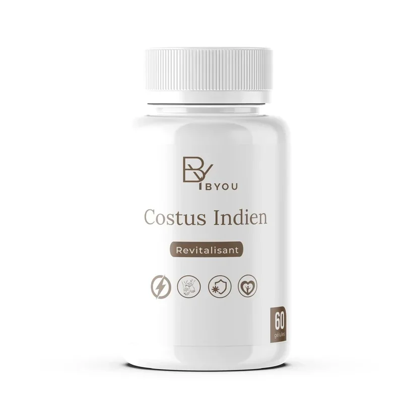 Costus Indien